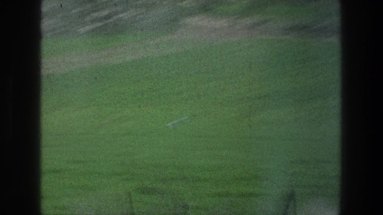 1976 8mm frame from the Jacobs Well Jerusalem reel showing a green field and distant animals, partly obscured by dark borders.