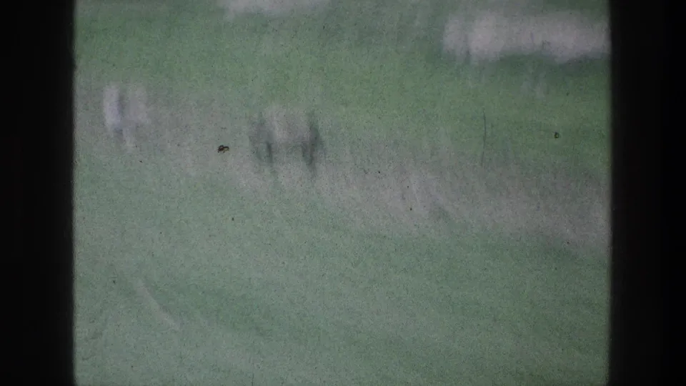 1976 home-movie frame near Jacobs Well, Jerusalem, with indistinct livestock or horses grazing on a green slope.
