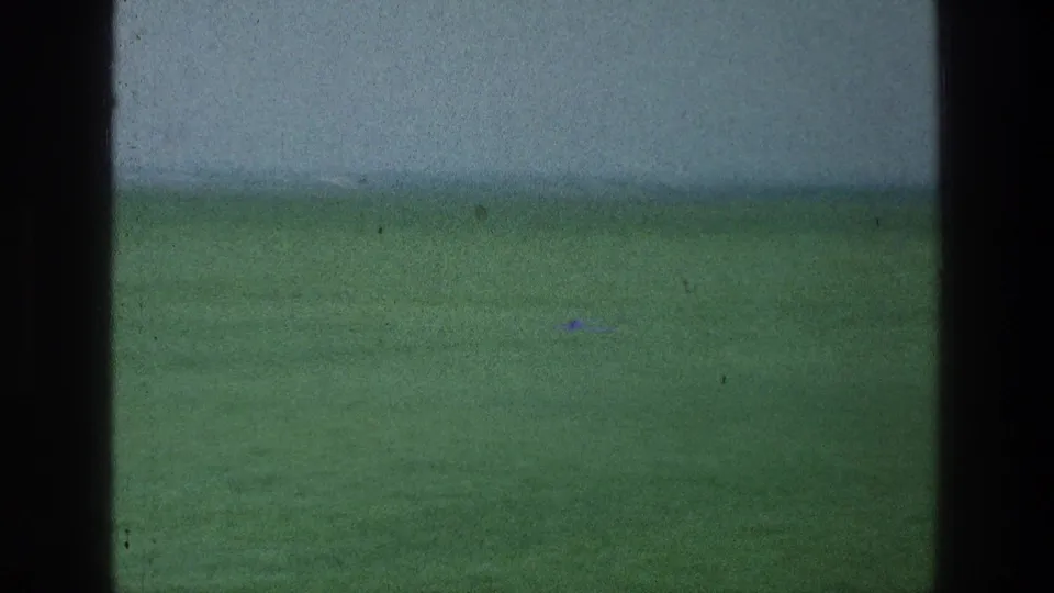 The final sampled frame shows a broad green field through the vehicle window, with dark framing and visible 8mm grain.