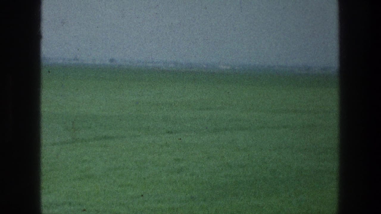 Green field and hazy sky seen between dark vertical foreground borders.