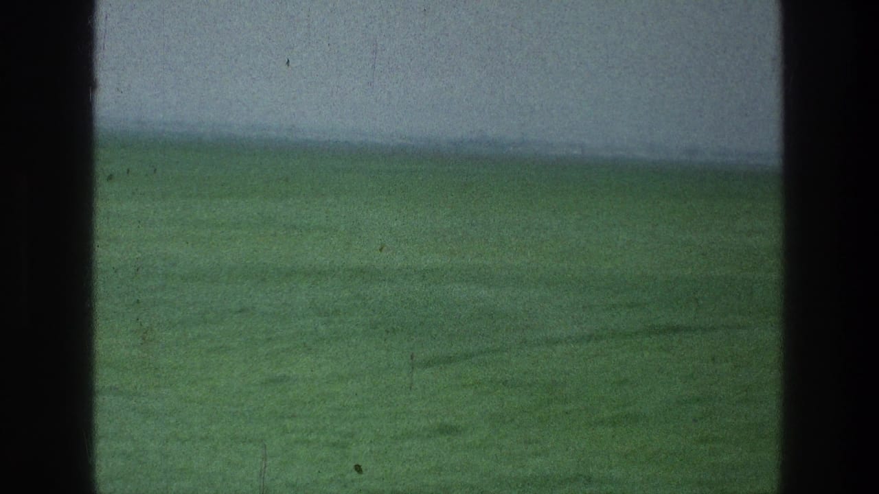 Soft green field and pale sky divided by dark vertical foreground shapes.