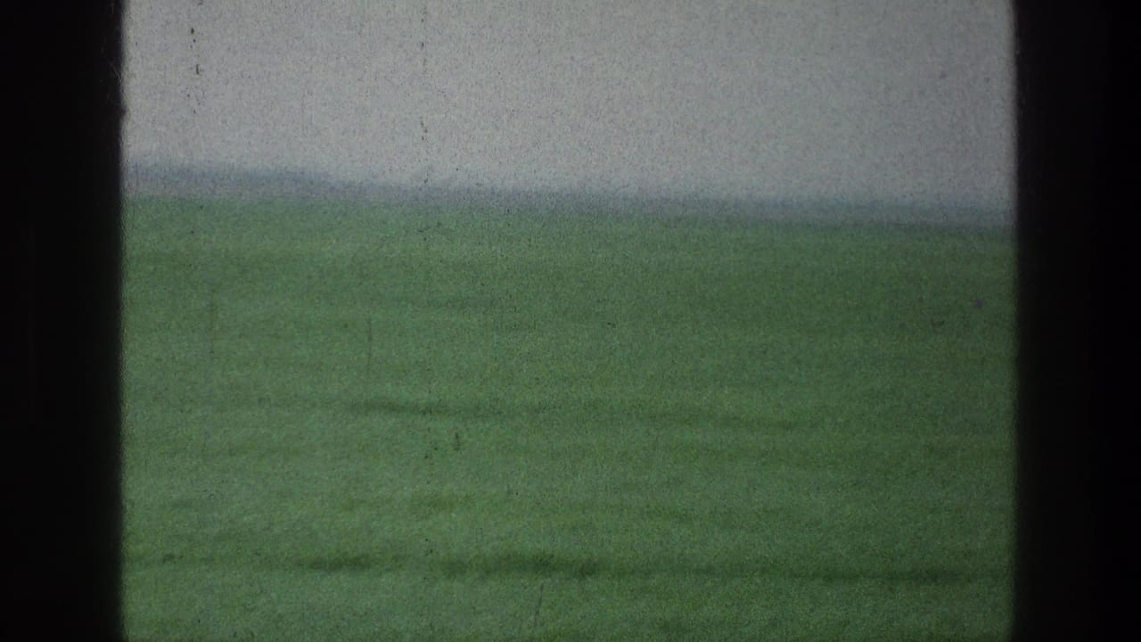 Green field seen through dark window bars under a hazy sky.
