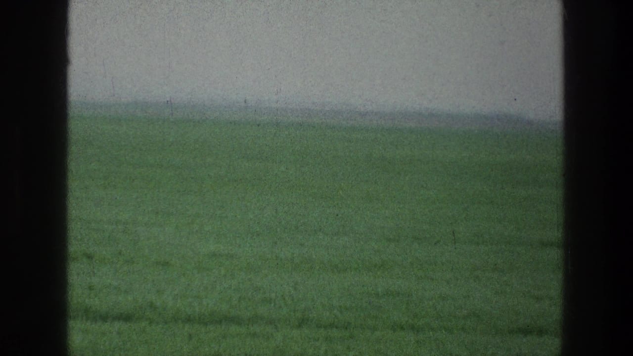 Green agricultural landscape near the stated Jerusalem-area location, divided by a dark vertical window bar.