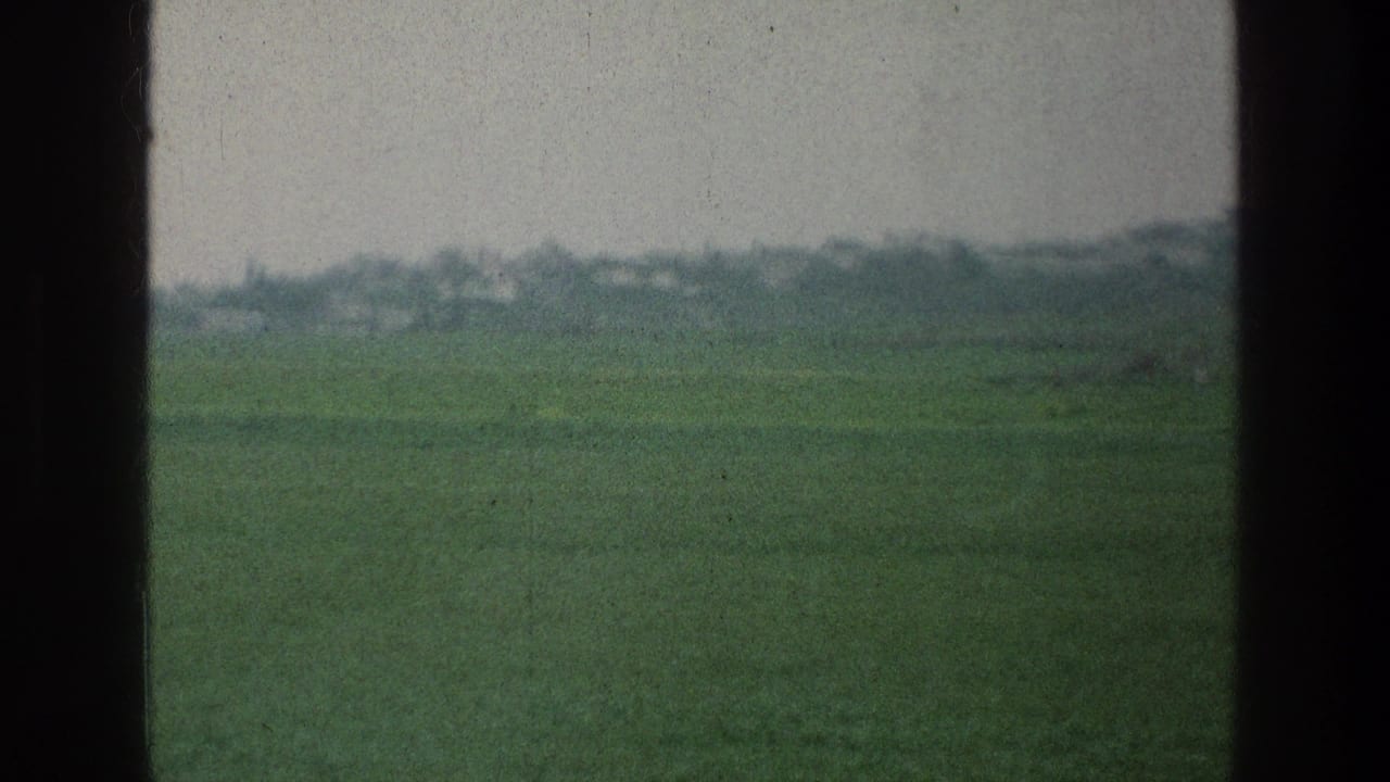Green field seen through dark vertical frame bars under a gray sky.