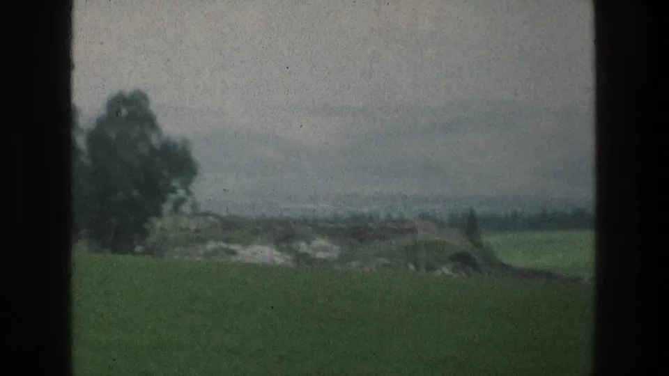 Soft 8mm view of a lone tree beside green fields near the cataloged Israel location, with hazy distance and dark frame division.