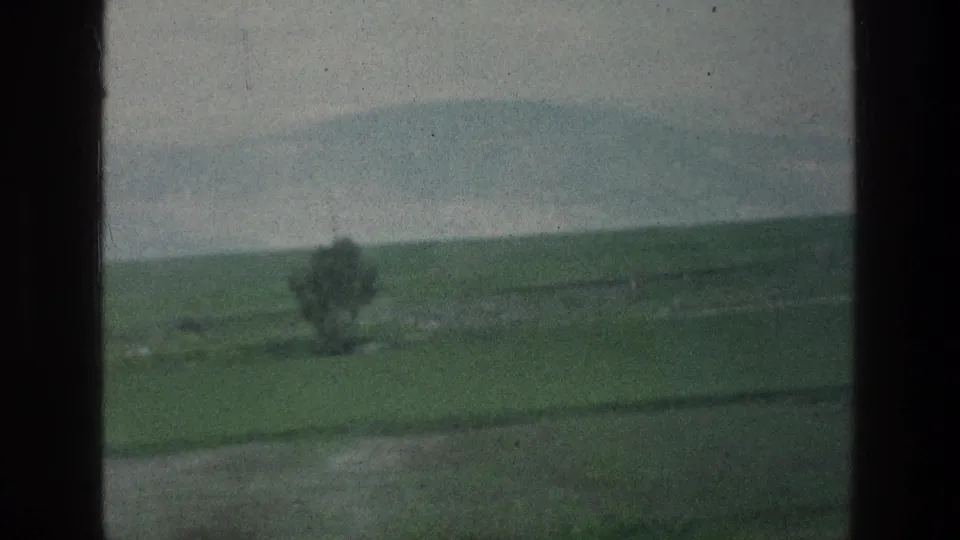1976 8mm countryside view near the stated Jerusalem, Israel location, with a lone tree, green field, and soft hazy hills.