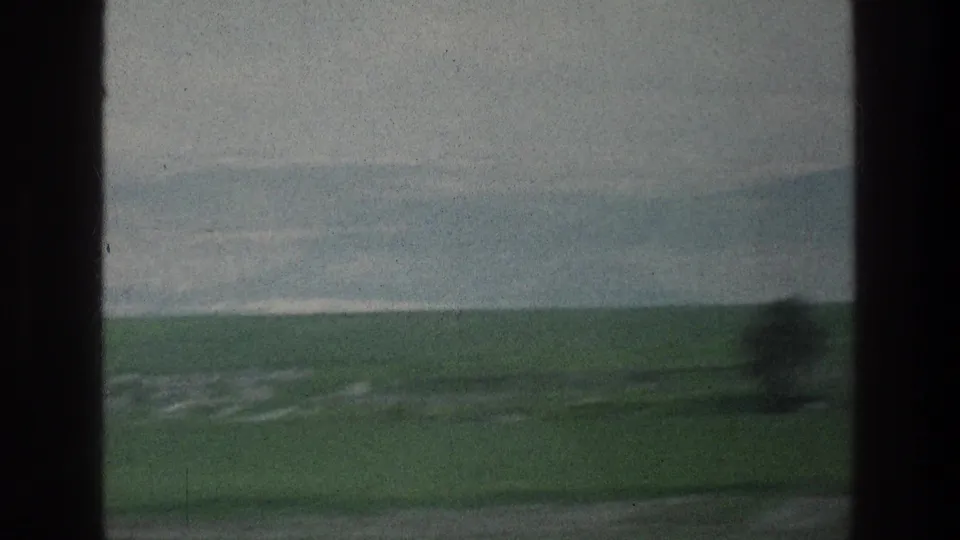 Soft 8mm frame from the 1976 Israel footage showing open green land, a blurred tree, and a pale mountain horizon.