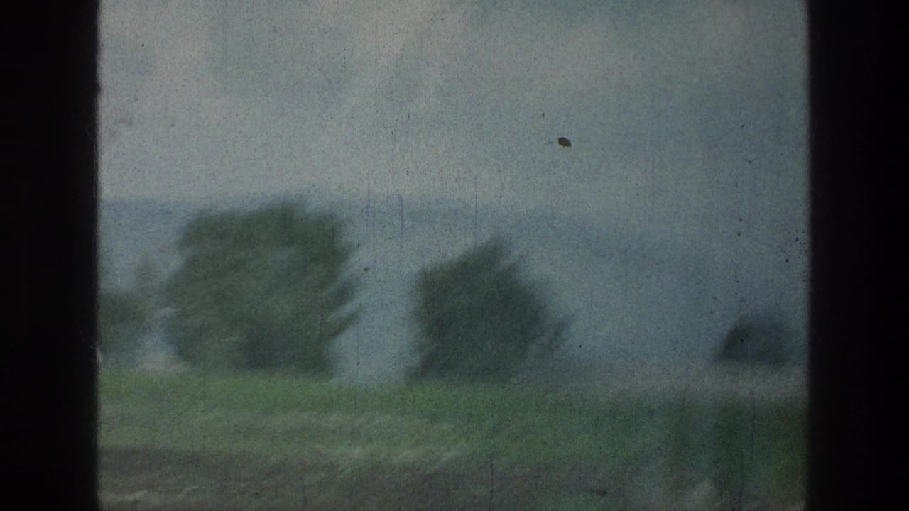 Blurred green field and trees seen through dark vehicle-window bars.