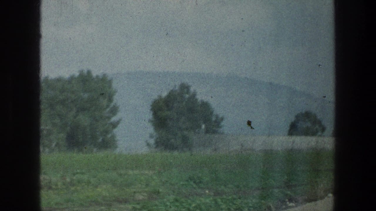 Vehicle-shot 8mm frame of a green roadside landscape near the identified Jacobs Well Jerusalem location, with trees and hazy hills beyond.