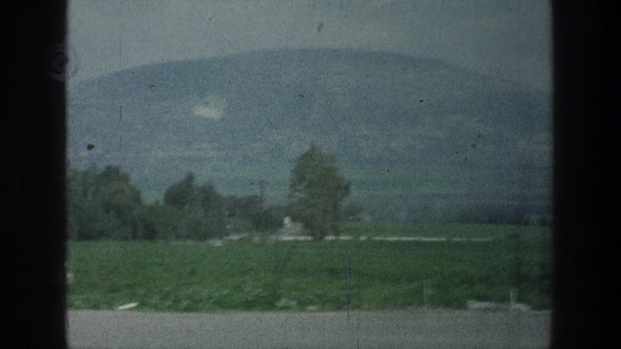 Green fields and trees in front of a broad distant mountain.