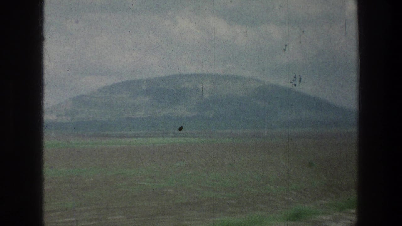 Open field and rounded hill beyond a dark vertical window divider.
