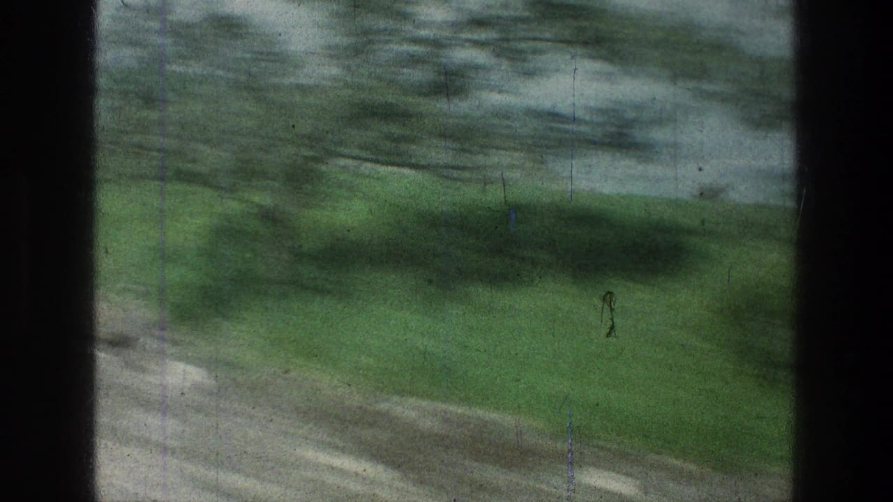 Motion-blurred roadside greenery seen through a dark film frame edge.