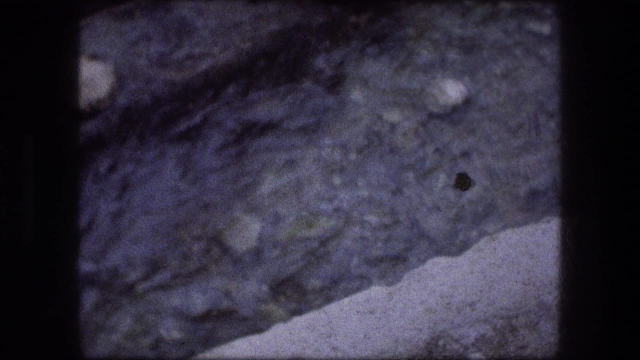 Close view of shallow water and rocks in a stream bed.