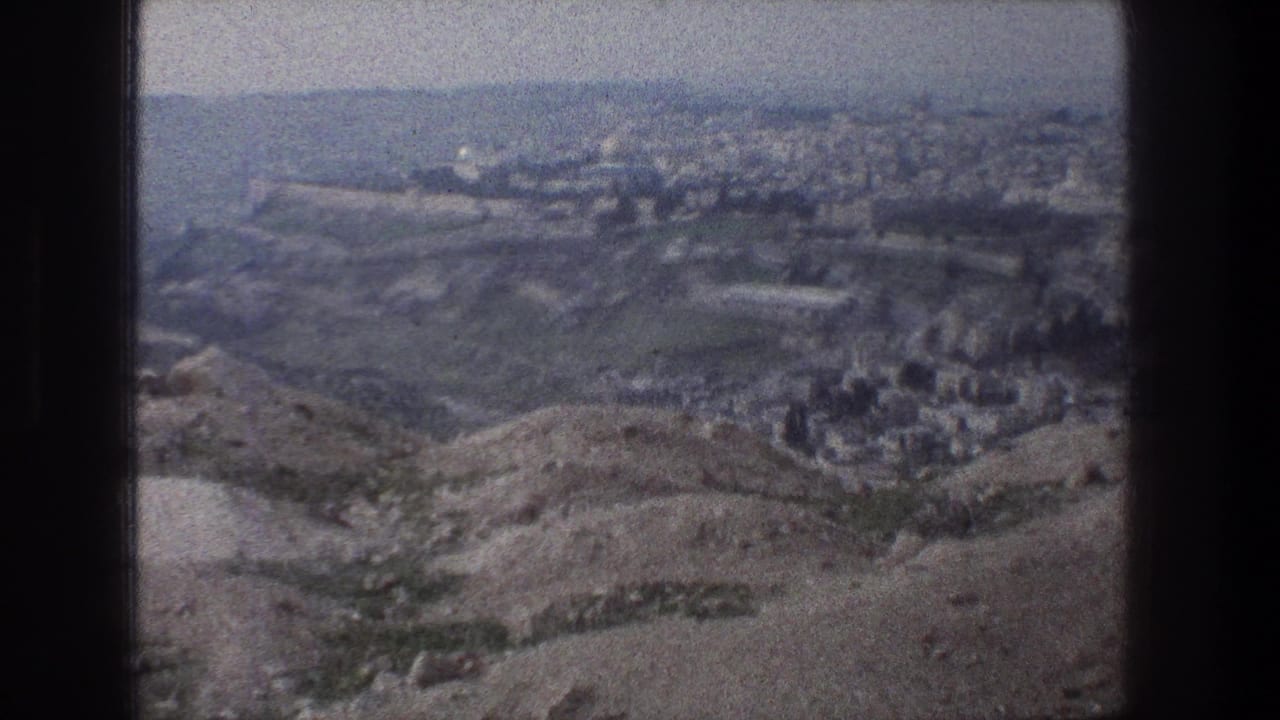 Wide city panorama beyond rocky foreground hills and scattered vegetation.