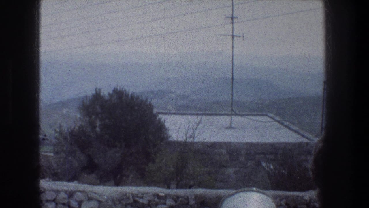 A 1976 Jerusalem view from behind a window divider shows a rooftop, utility pole, trees, and soft distant hills.