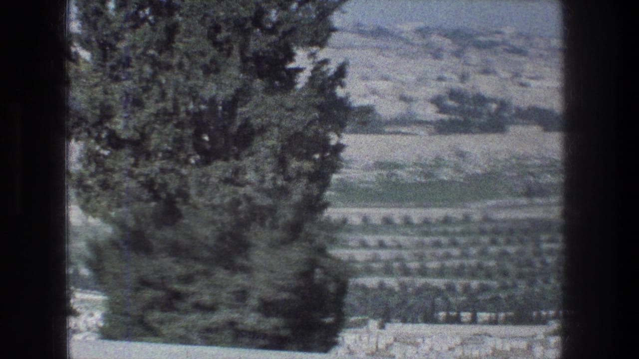 Tree and terraced hillside seen from an outdoor overlook.