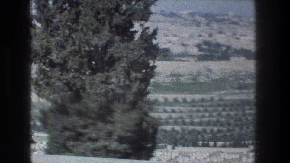 Jerusalem hillside and terraces in a soft 1976 8mm travel view, partly framed by a tree and dark film edge.