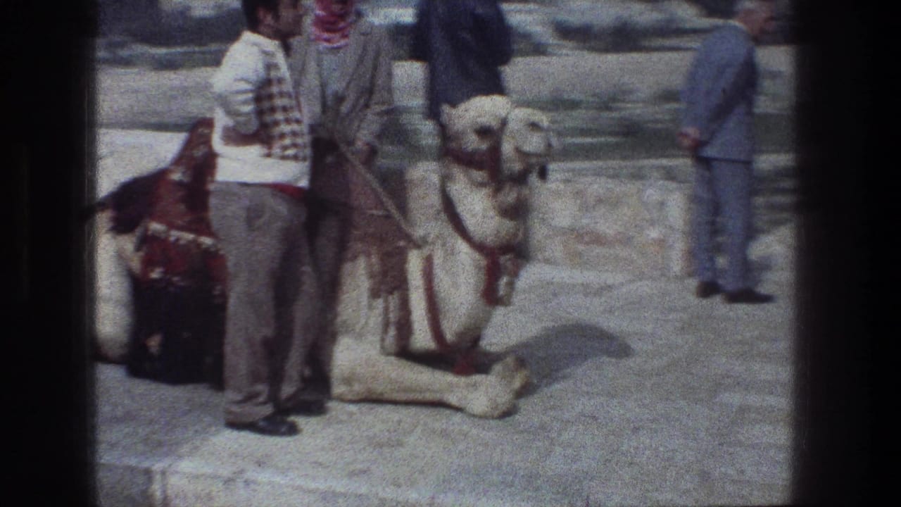 In Jerusalem, a man in brown pants stands near a seated camel while other people gather on a paved outdoor area.