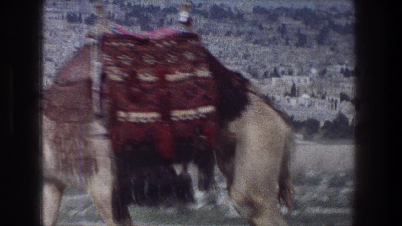 1976 Jerusalem travel frame showing a camel from behind, with a red patterned saddle blanket and stone landscape beyond.
