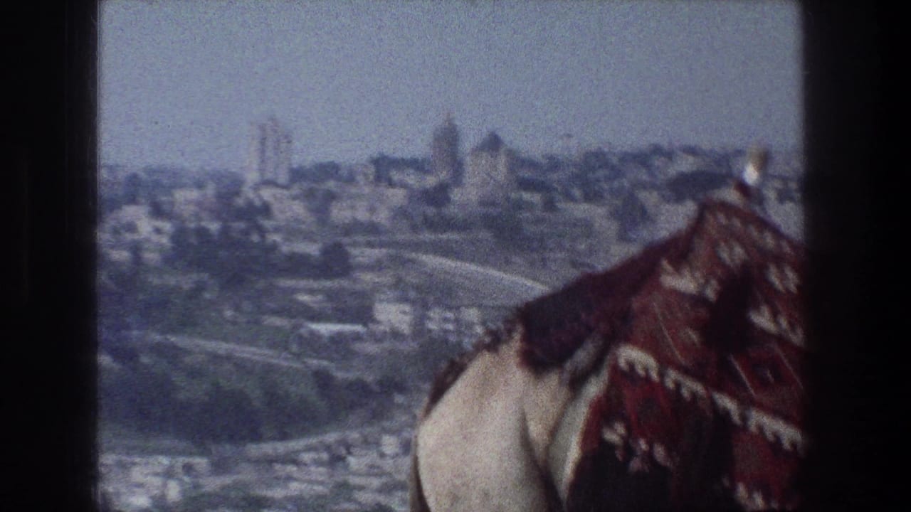 Camel shoulder and red saddle blanket at the edge of a distant city panorama.