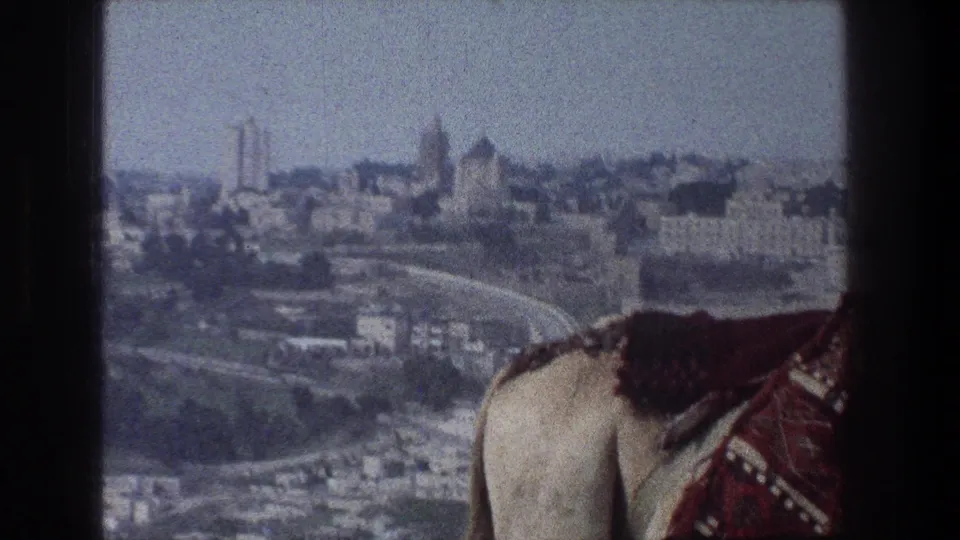 1976 Jerusalem overlook with the camel lower in frame and the dense hillside cityscape visible behind it.
