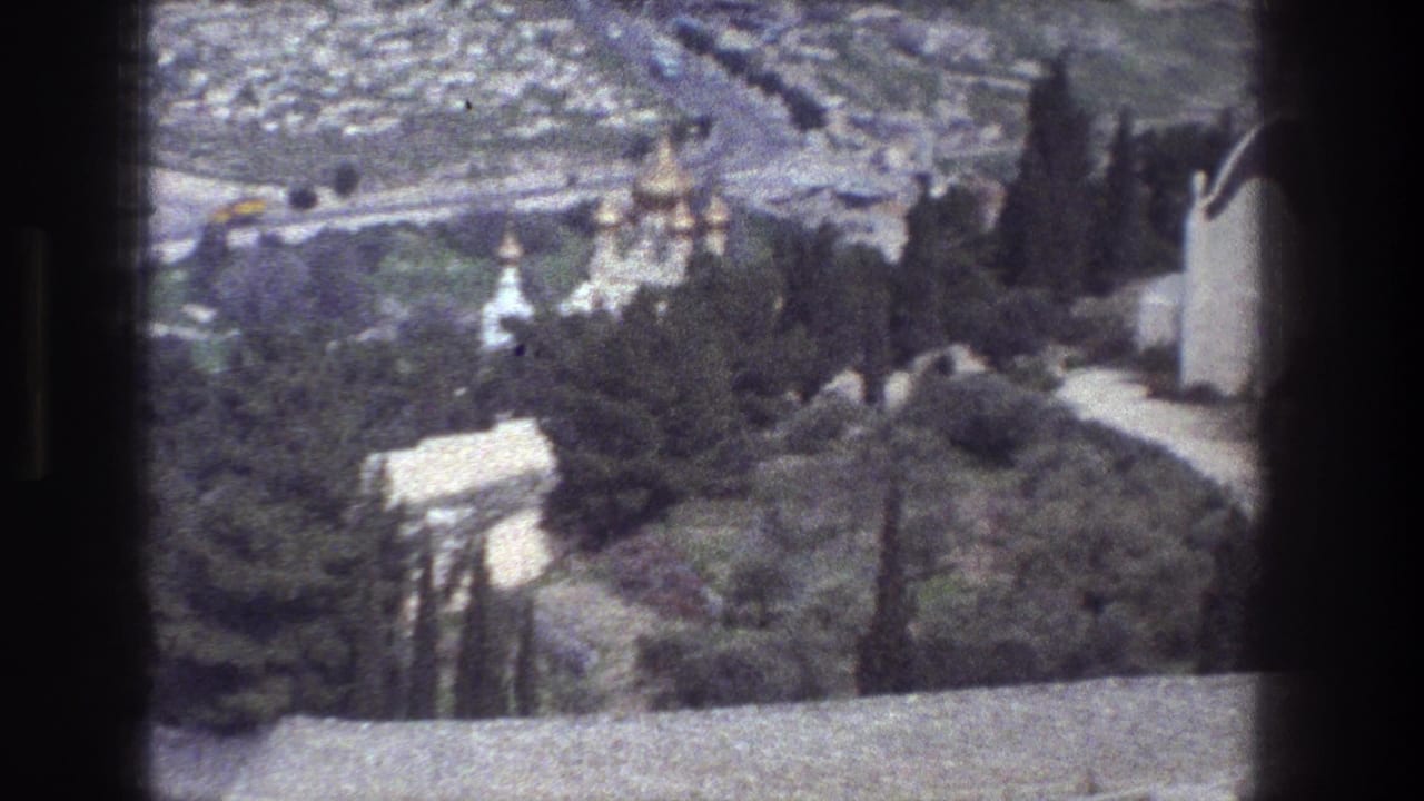 Jerusalem overlook with gold domes, dark trees, city roads, and a white domed building edge.