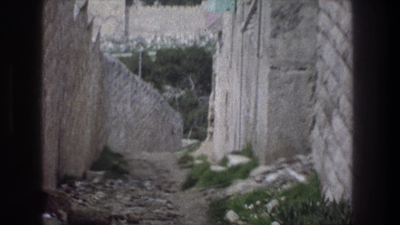 Stone alley and steps bordered by textured walls and greenery.