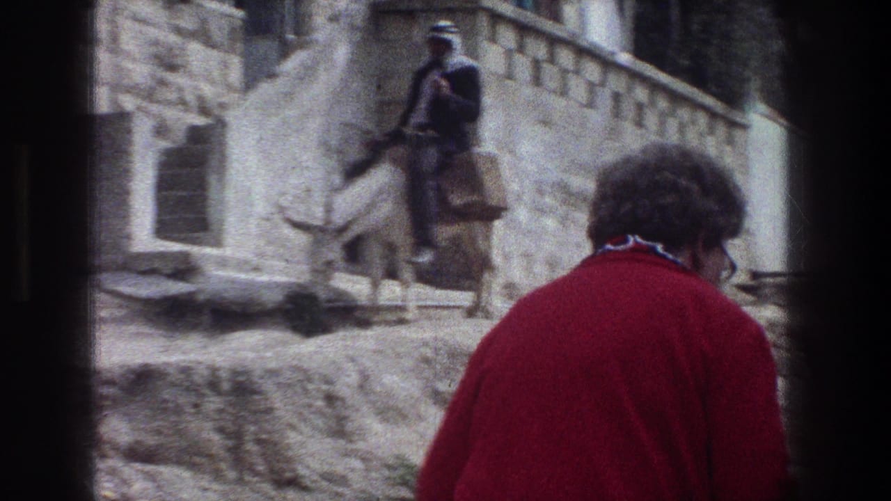 1976 Jerusalem home-movie frame showing a donkey near stone steps with a woman in a red sweater seen from behind.