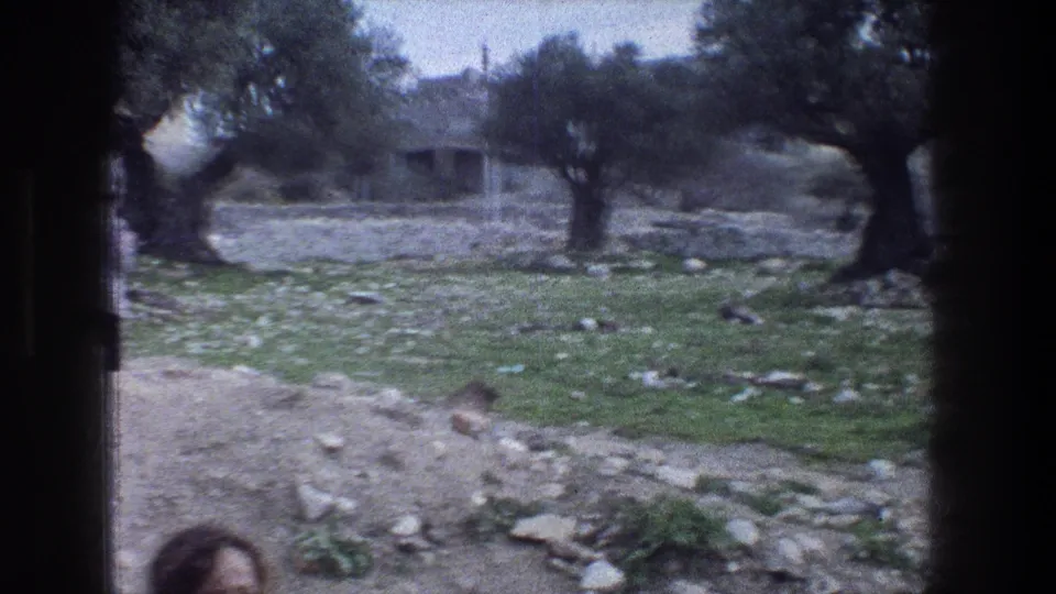 1976 Jerusalem garden scene showing olive trees, a low stone wall, rocky soil, and a partially visible visitor near the frame edge.