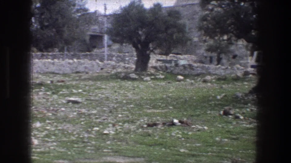 1976 Jerusalem 8mm frame showing a quiet rocky field with grass, olive trees, low stone walls, and a distant structure.