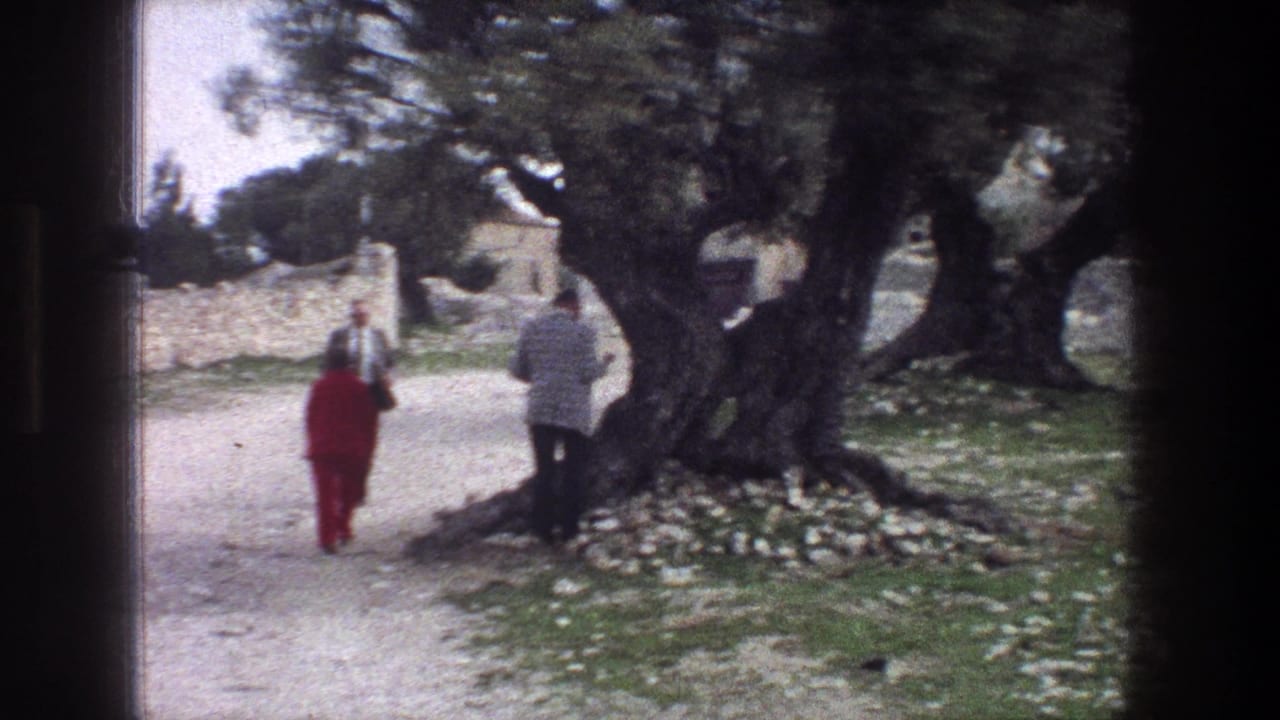 1976 Jerusalem travel footage frame with adults on a dirt path near olive trees, rocky ground, and low stone walls.