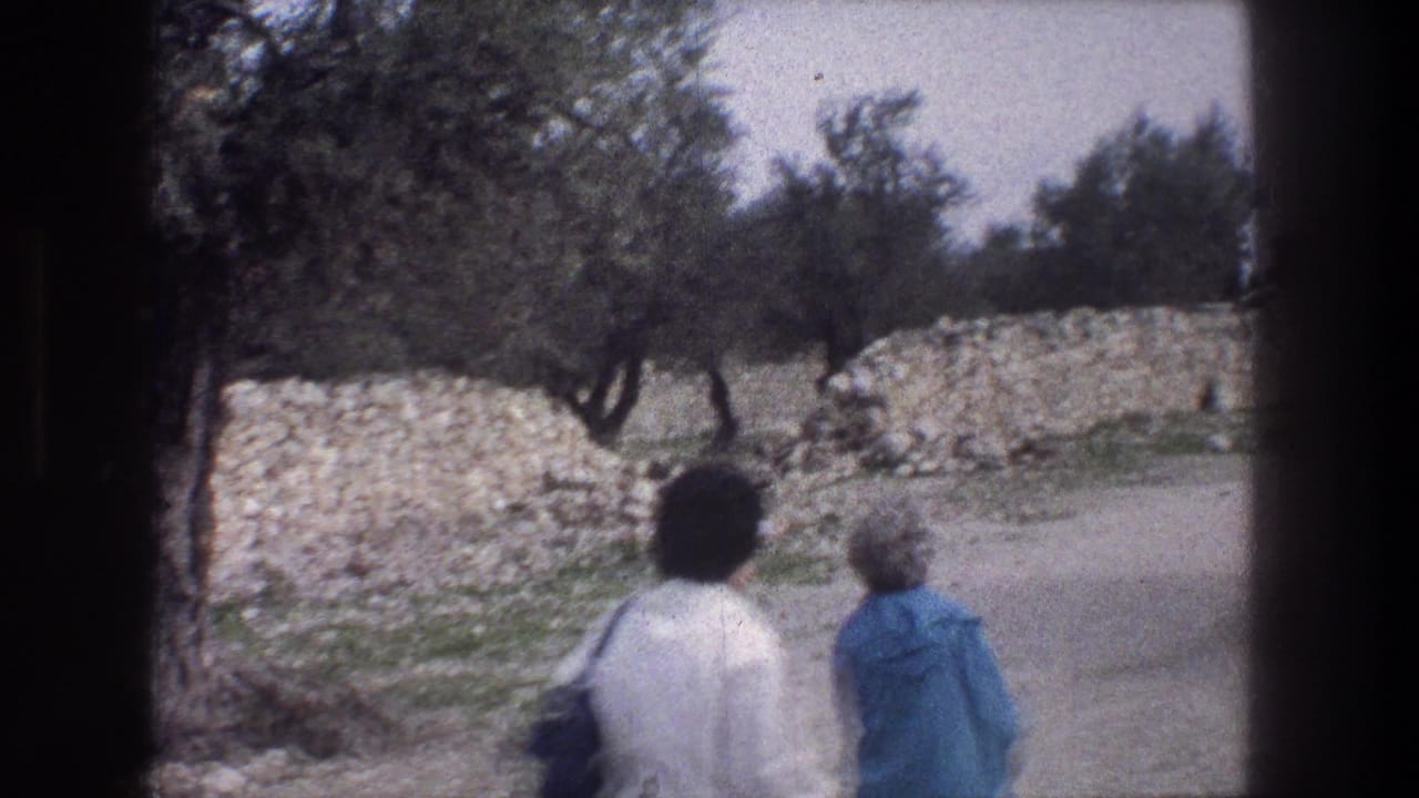 Two adults walk along a dirt path beside olive trees and low stone walls.