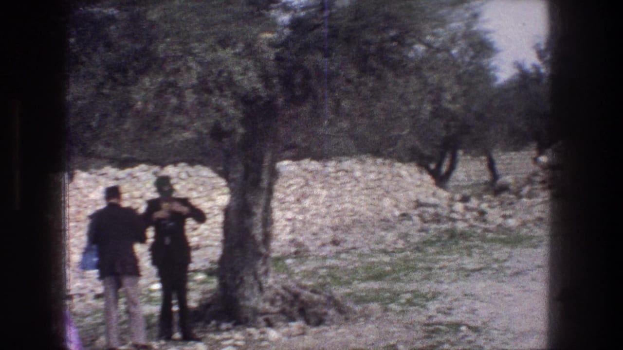 1976 Jerusalem frame with a man appearing to photograph the landscape beside another adult, olive trees, and a stone wall.