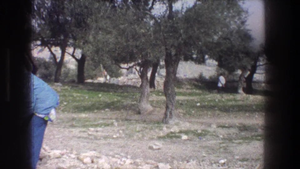 1976 Jerusalem home-movie view with a partial adult figure at left and olive trees across a rocky outdoor area.