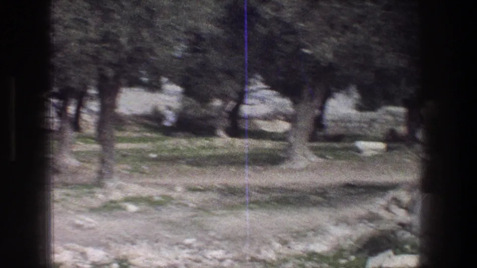 1976 Jerusalem frame showing a quiet olive-tree landscape, rocky ground, and dark vertical edges from the filming position.