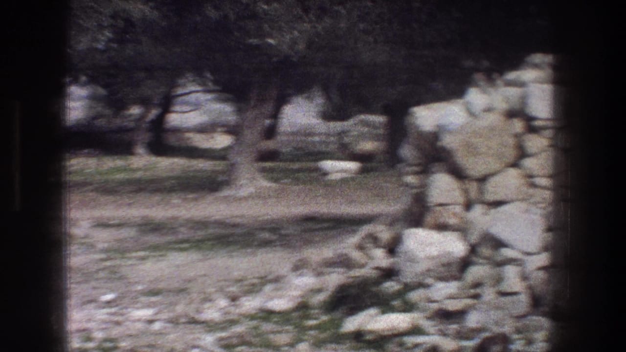 1976 Jerusalem 8mm frame showing a rocky grassy field, olive trees, dry-stone walls, and distant sheep-like shapes.