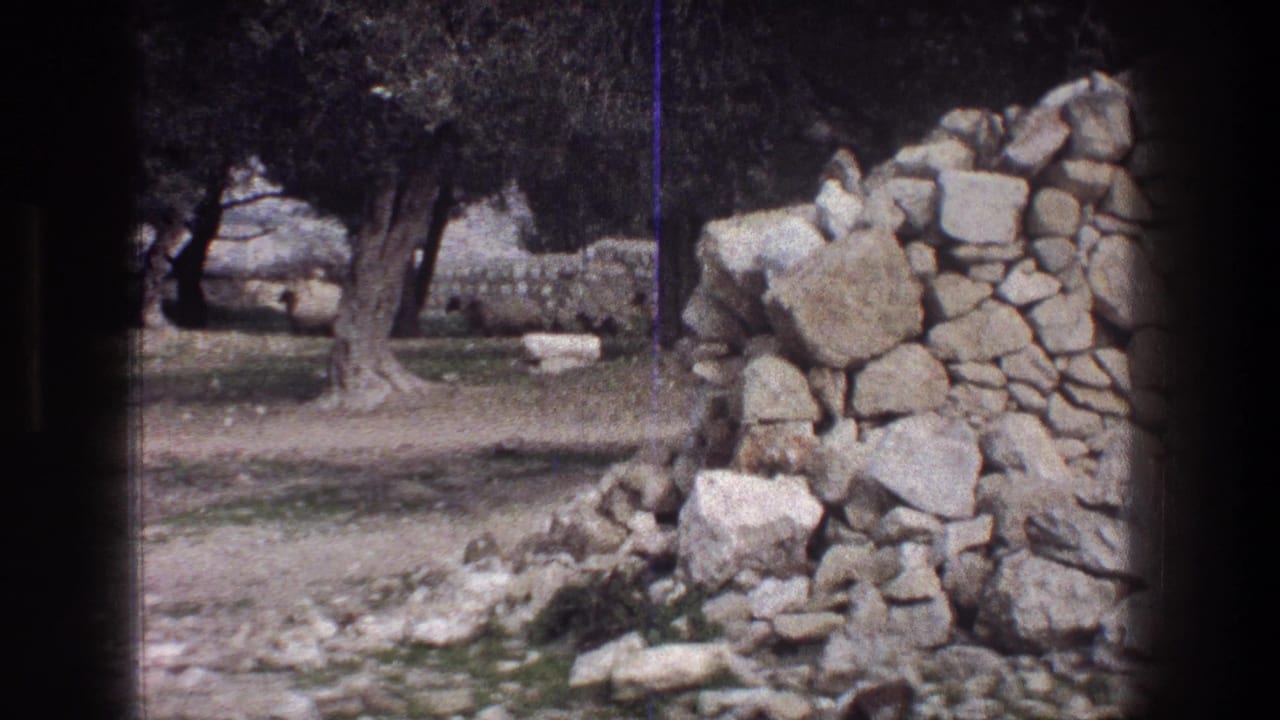 Stone wall and trees in a rocky grassy field with distant pale animals.