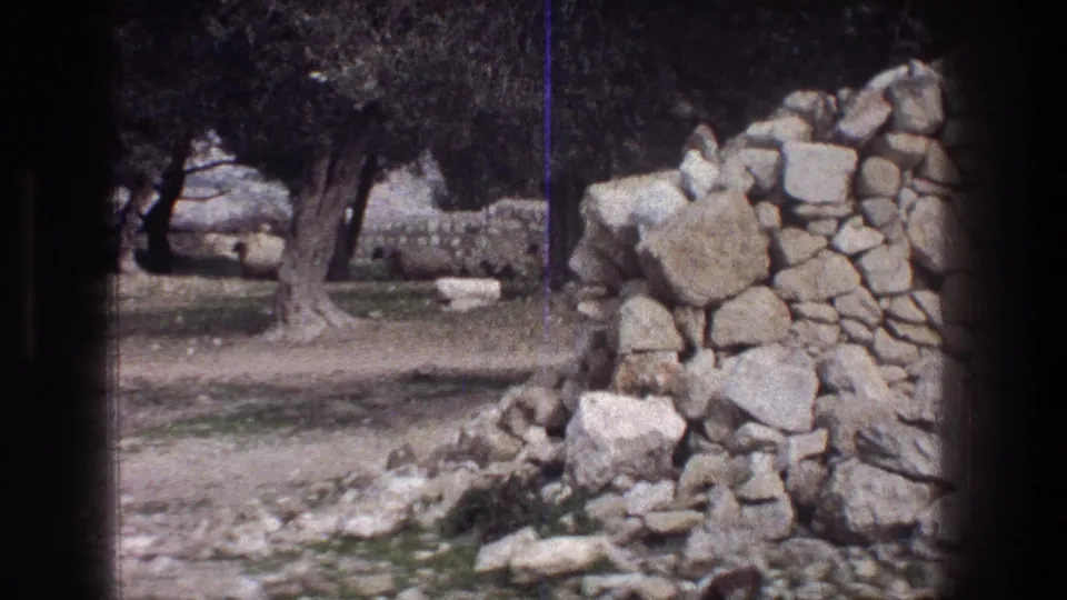 1976 Jerusalem 8mm frame with a dry-stone wall, olive trees, scattered rocks, and possible distant sheep in a rural field.