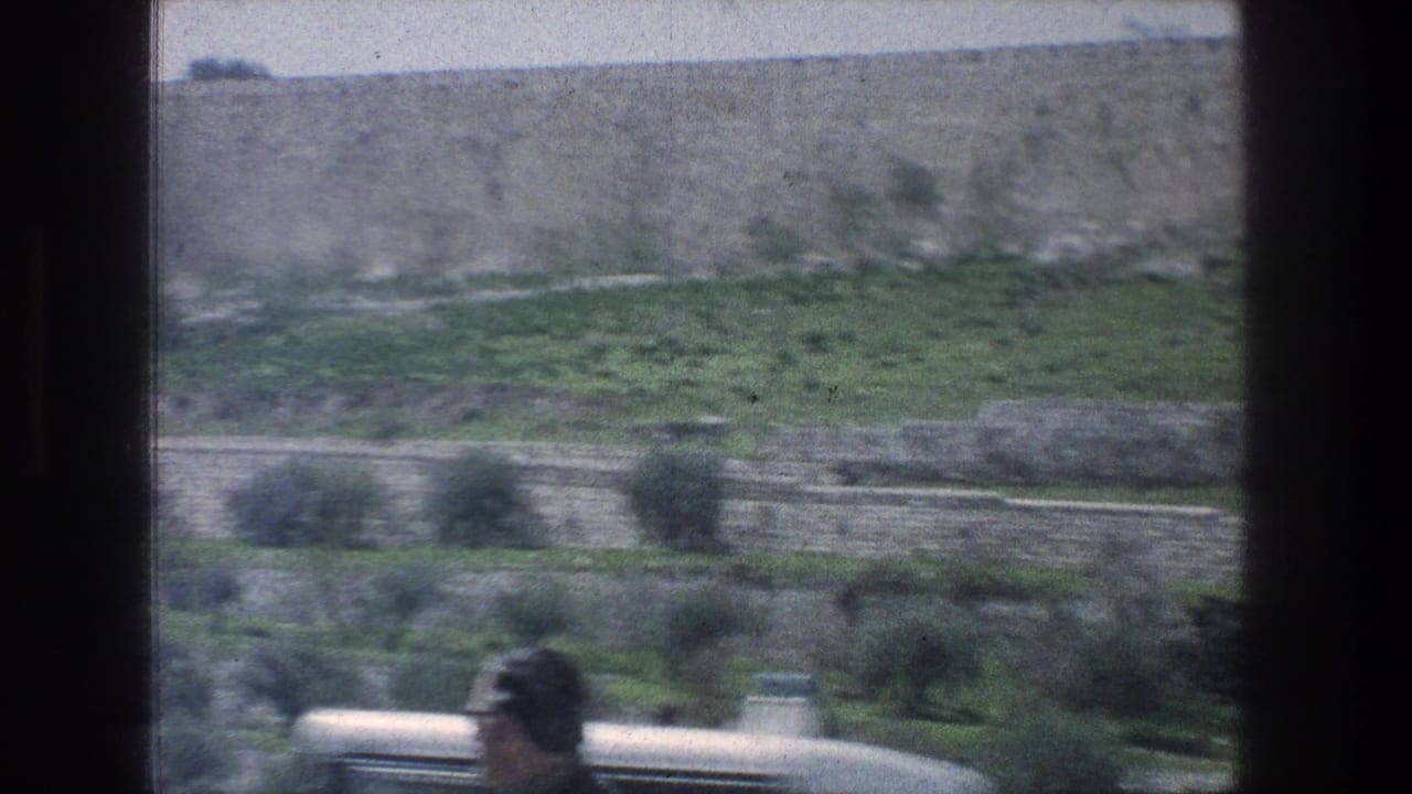 Stone terraces and green hillside viewed from a moving vehicle, with a blurred man in the foreground.