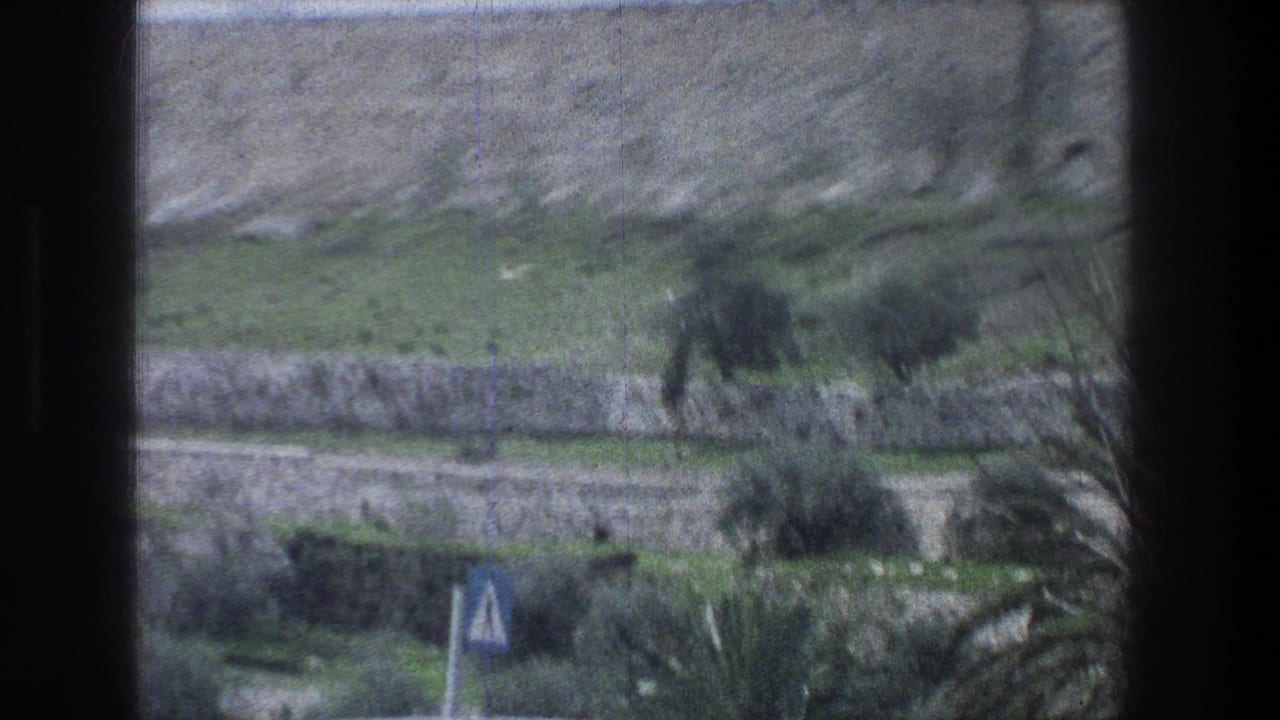 1976 8mm Jerusalem roadside view with a stone wall, terraced grass, scattered trees, palm fronds, and a blue triangular sign.