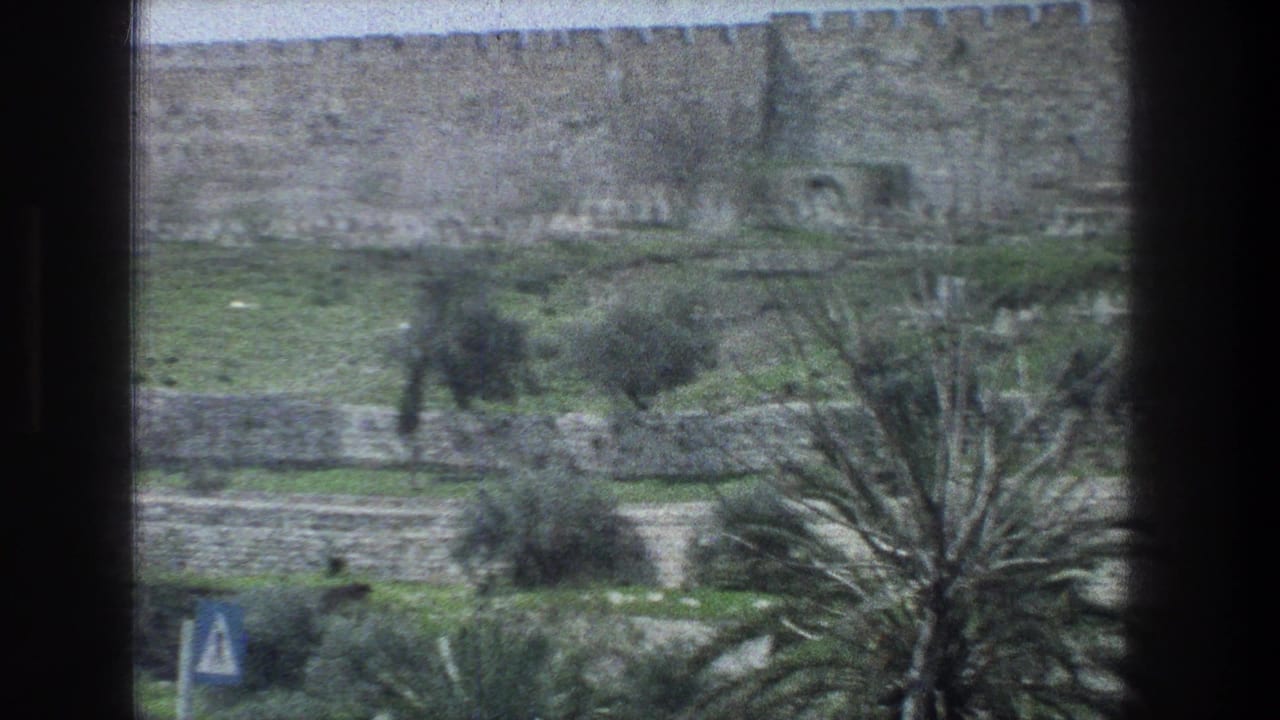 Jerusalem landscape on 8mm film, showing a crenellated wall, green terraces, small trees, palm fronds, and a roadside sign.