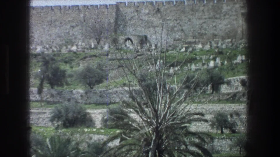 1976 Jerusalem view with palm fronds, olive-like trees, terraced stonework, a large wall, and cemetery-like markers on the hillside.