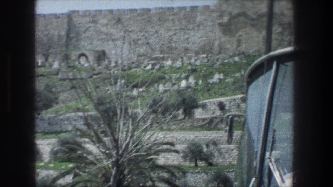 Fortified stone wall, gravestones, palm tree, and vehicle edge.