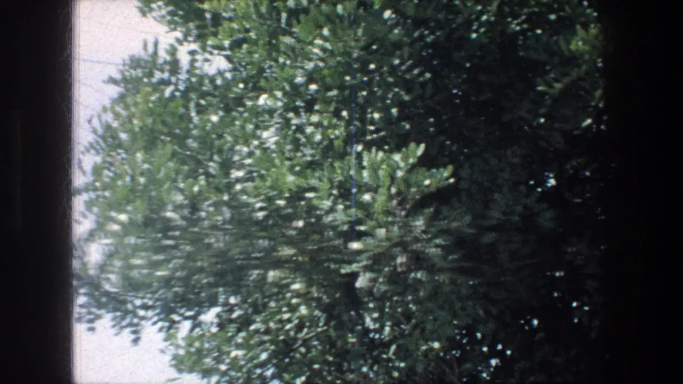 A 1976 Jerusalem vehicle-window view shifts to dense green roadside foliage, with the window frame and film gate edges visible.