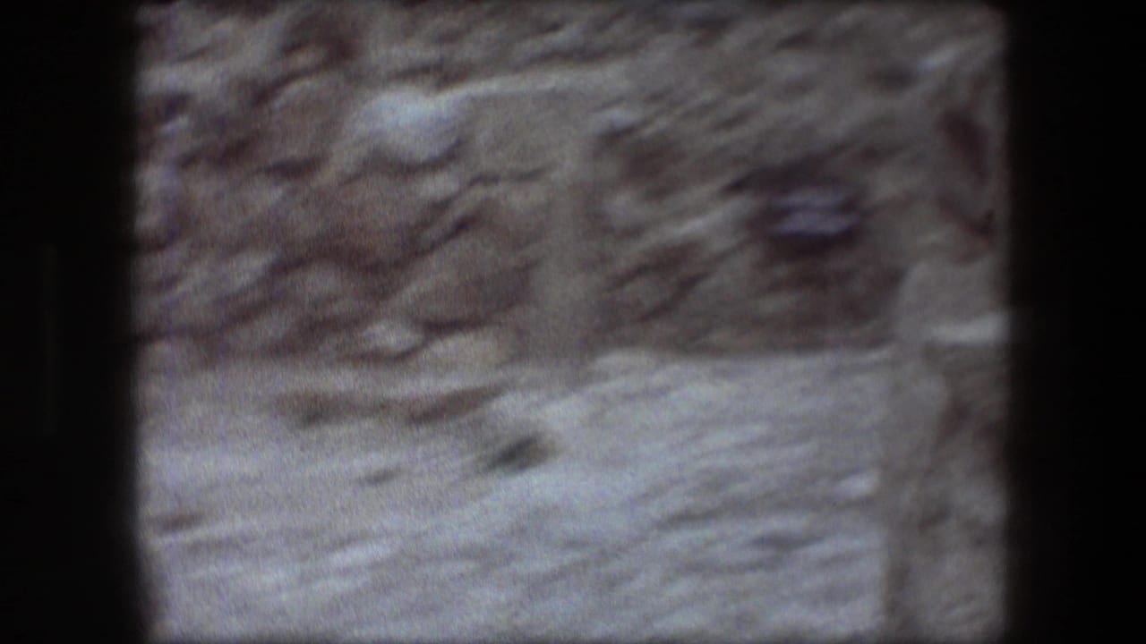 Blurred stone ruins framed by dark 8mm film borders.