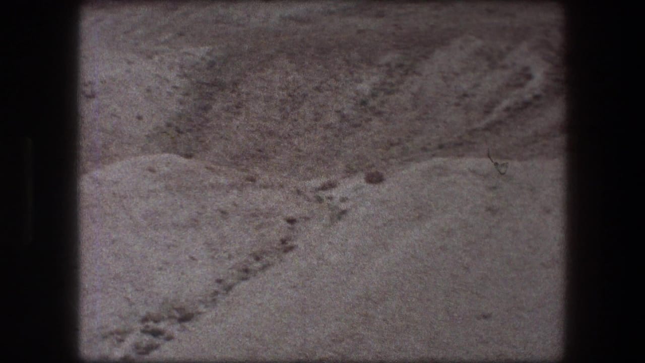 Messada-area desert frame from 1976 8mm footage, showing sandy ground, small rocks, and a faint winding track or stone line.