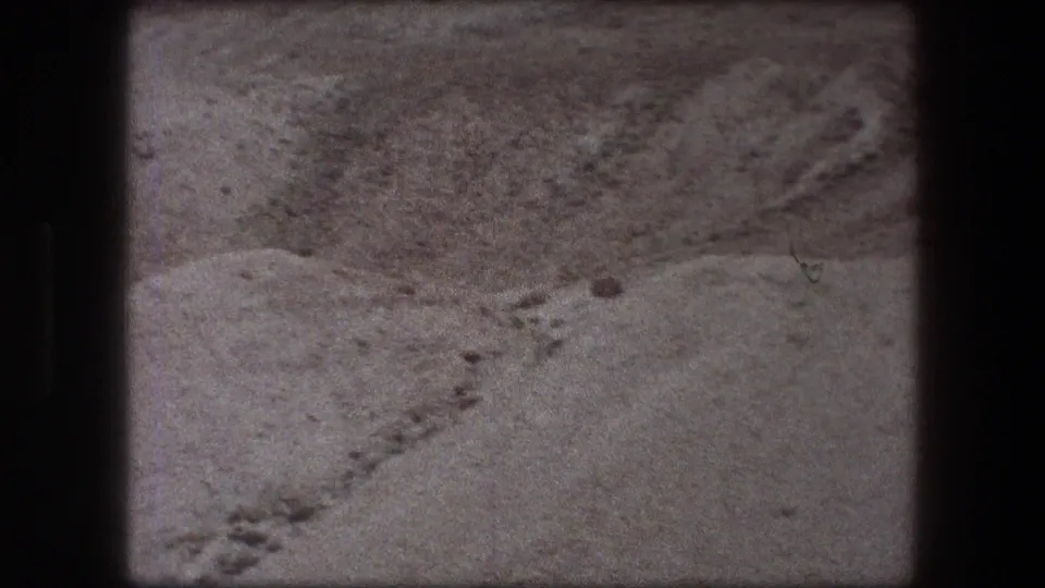 Messada-area desert frame from 1976 8mm footage, showing sandy ground, small rocks, and a faint winding track or stone line.