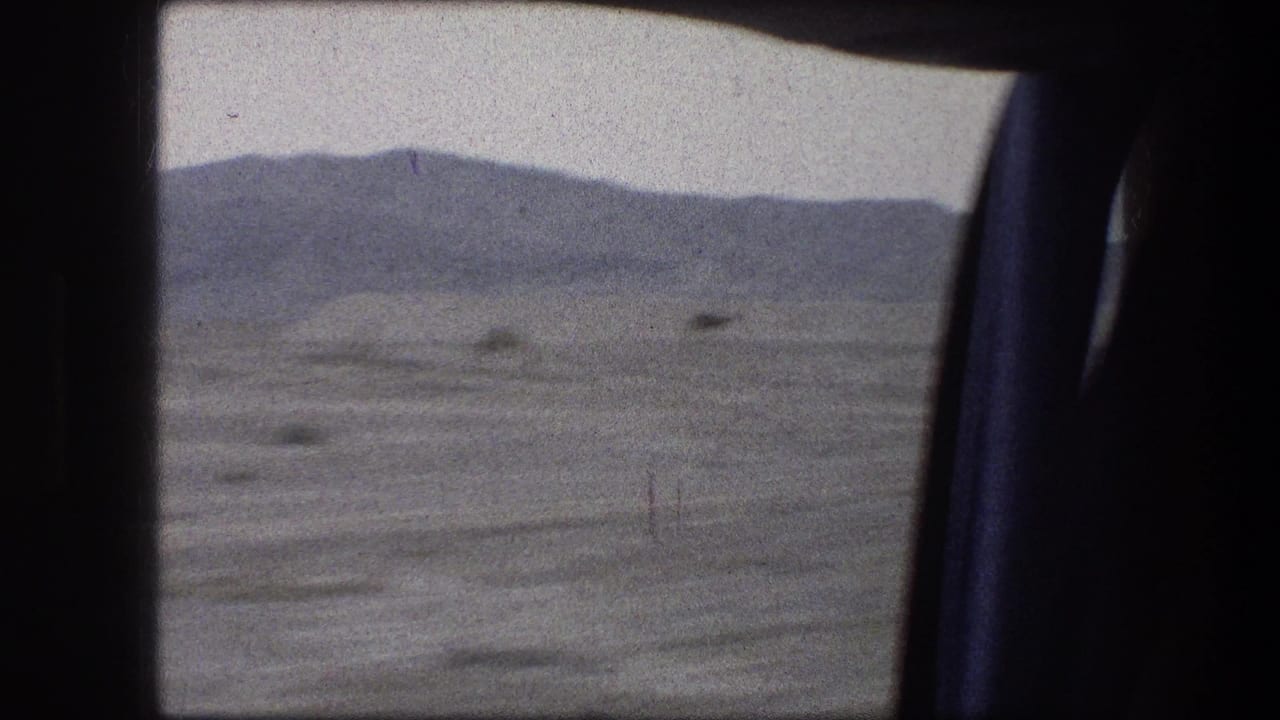 Camels cross a flat desert plain beyond a dark vehicle window frame.