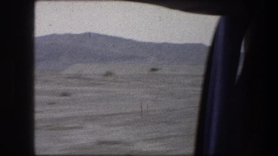 1976 Messada, Israel 8mm frame showing distant camels on arid ground, with low hills and a dark vehicle-window edge in view.