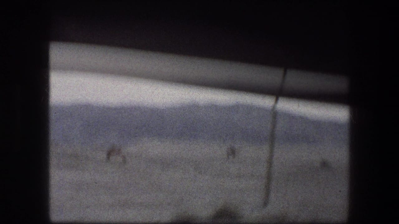 Distant camels appear on a hazy desert plain behind a dark window frame.